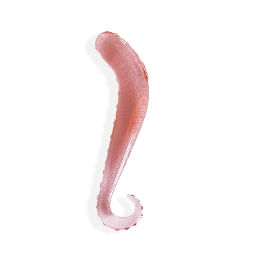 Aelion Glass Anal Plug & Dildo